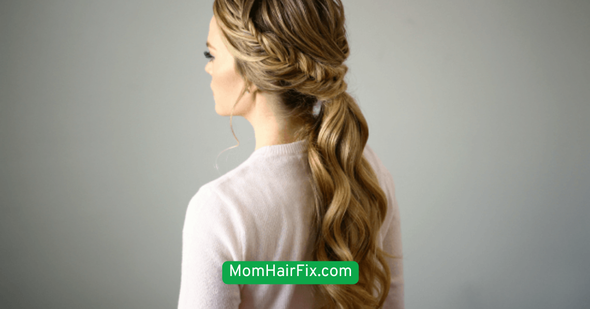 The Braided Ponytail