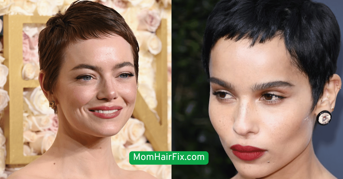  Pixie Puff with Clip