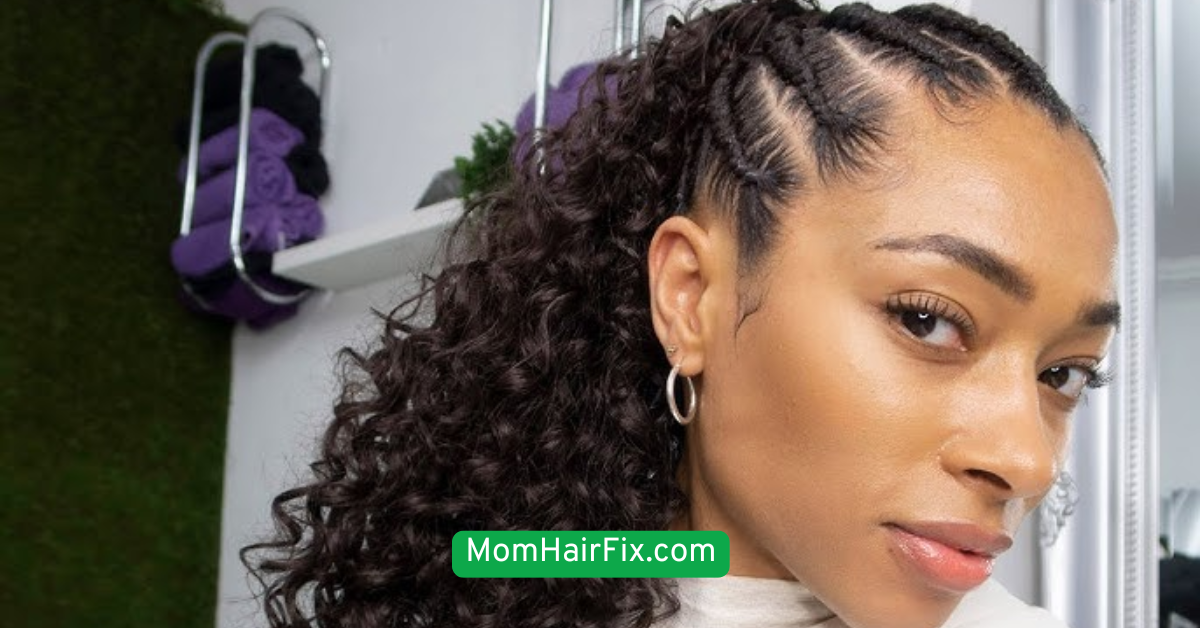 Braided Ponytail