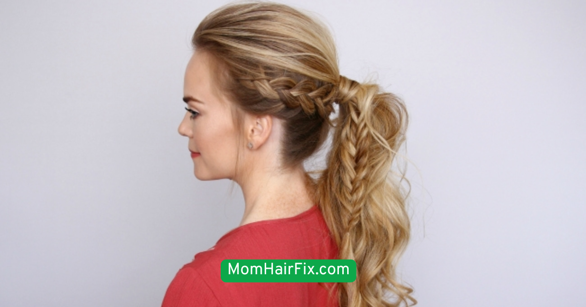 Braided Ponytail Combo 