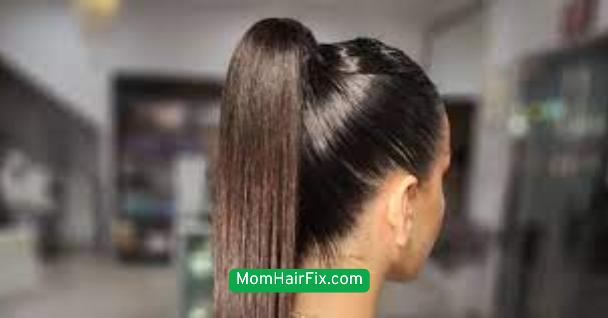 The Low Sleek Ponytail
